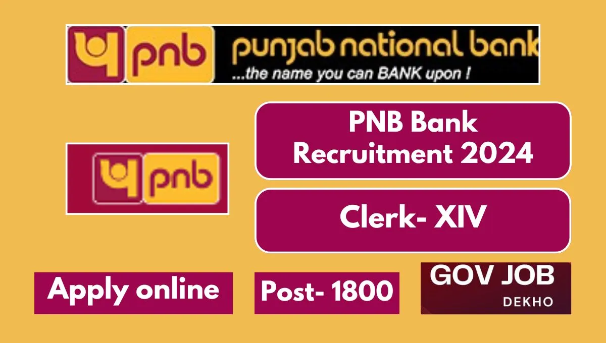 PNB Bank Recruitment 2024